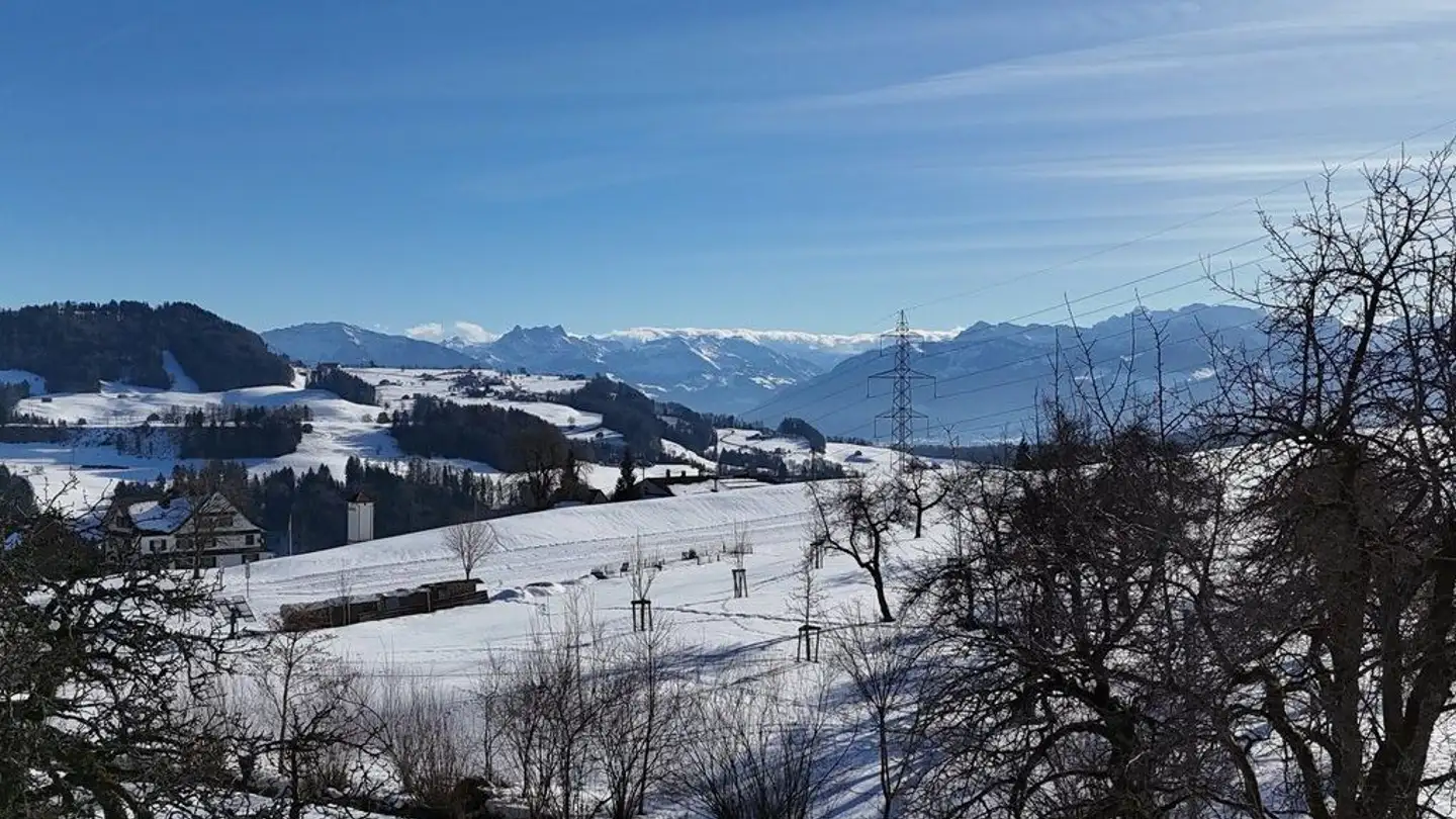 Single house for sale - Büelstrasse 15, 8636 Wald ZH - Photo 3