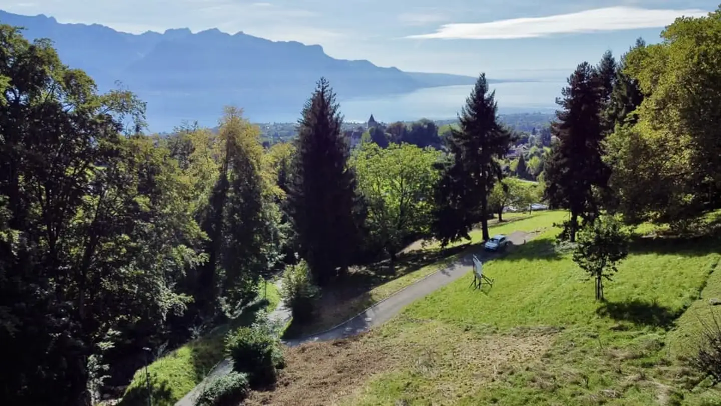 Einfamilienhaus kaufen - Route De Saint Légier, 1807 Blonay