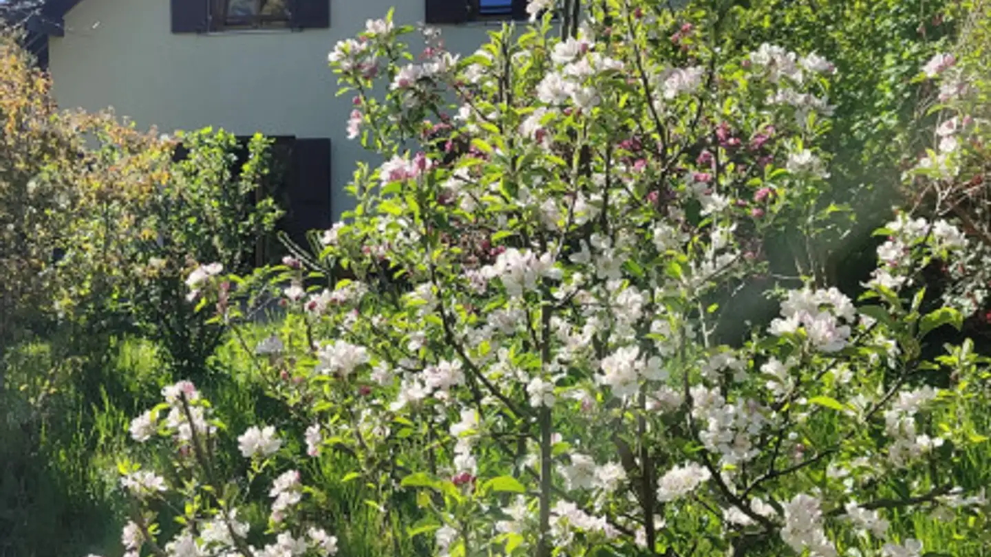 Maison jumelle à vendre - Route De St-George, 1188 Gimel - Photo 2