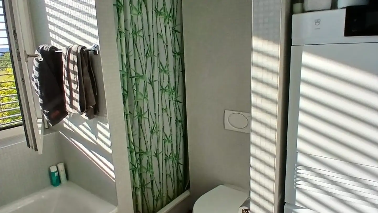 Appartamento in affitto - Mühlackerstrasse 116, 8046 Zürich - Photo 2