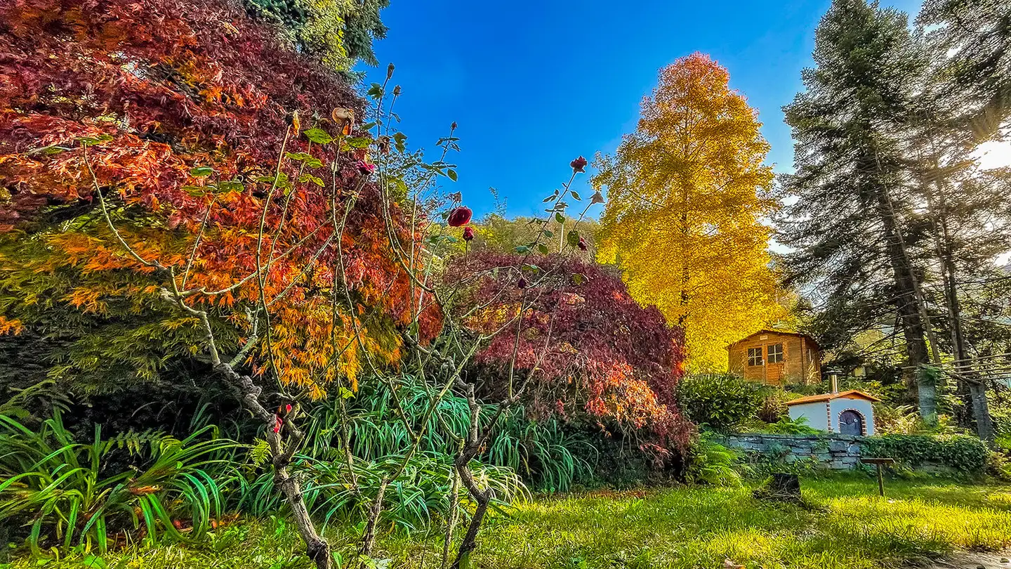 Maison individuelle à vendre - Via Del Fé 46, 6582 Pianezzo