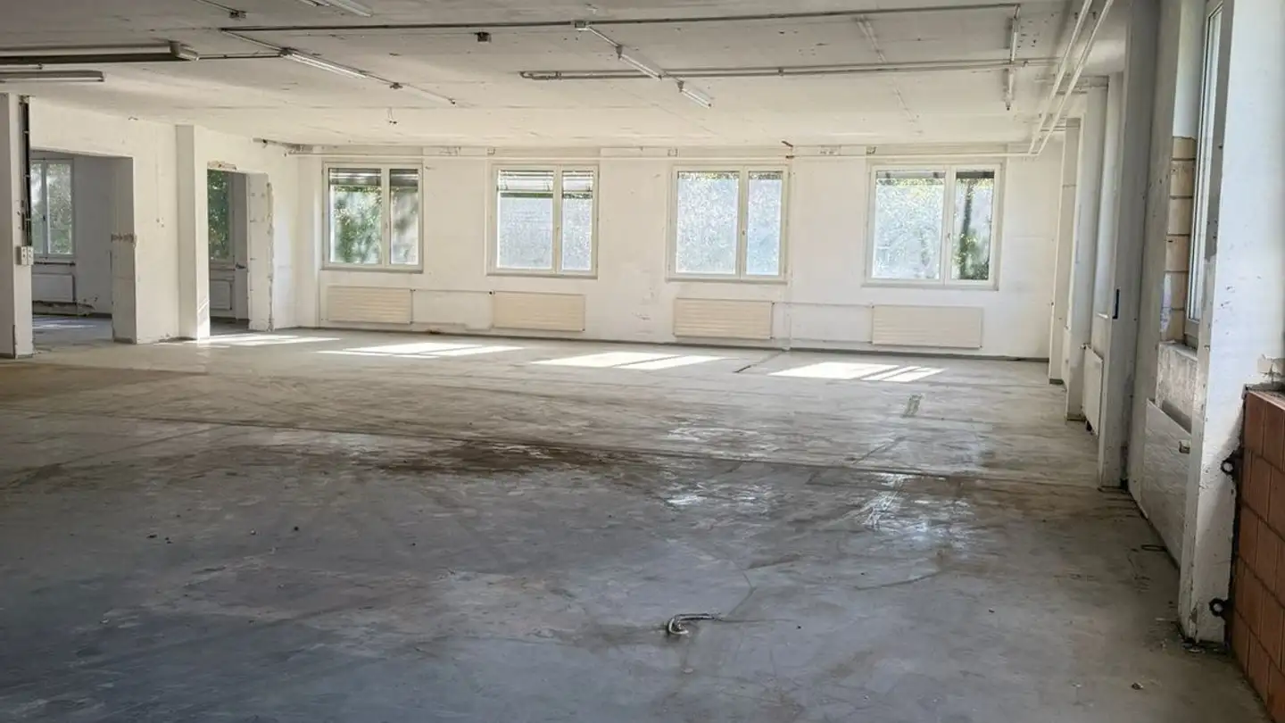 Industrial property for rent - Moosstrasse 13, 9030 Abtwil SG