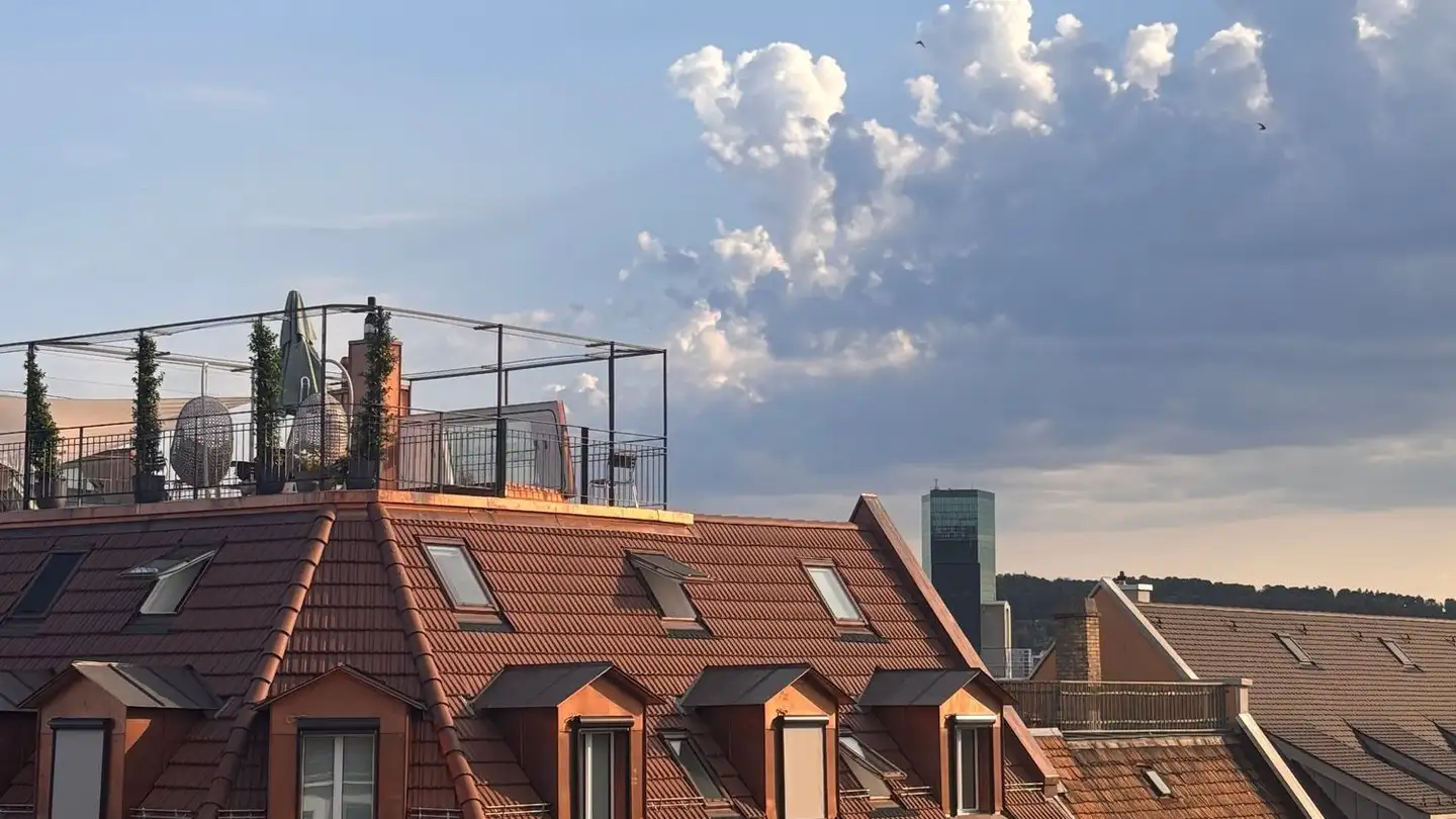 Stepped apartment for rent - Zurlindenstrasse 229, 8003 Zürich - Photo 4