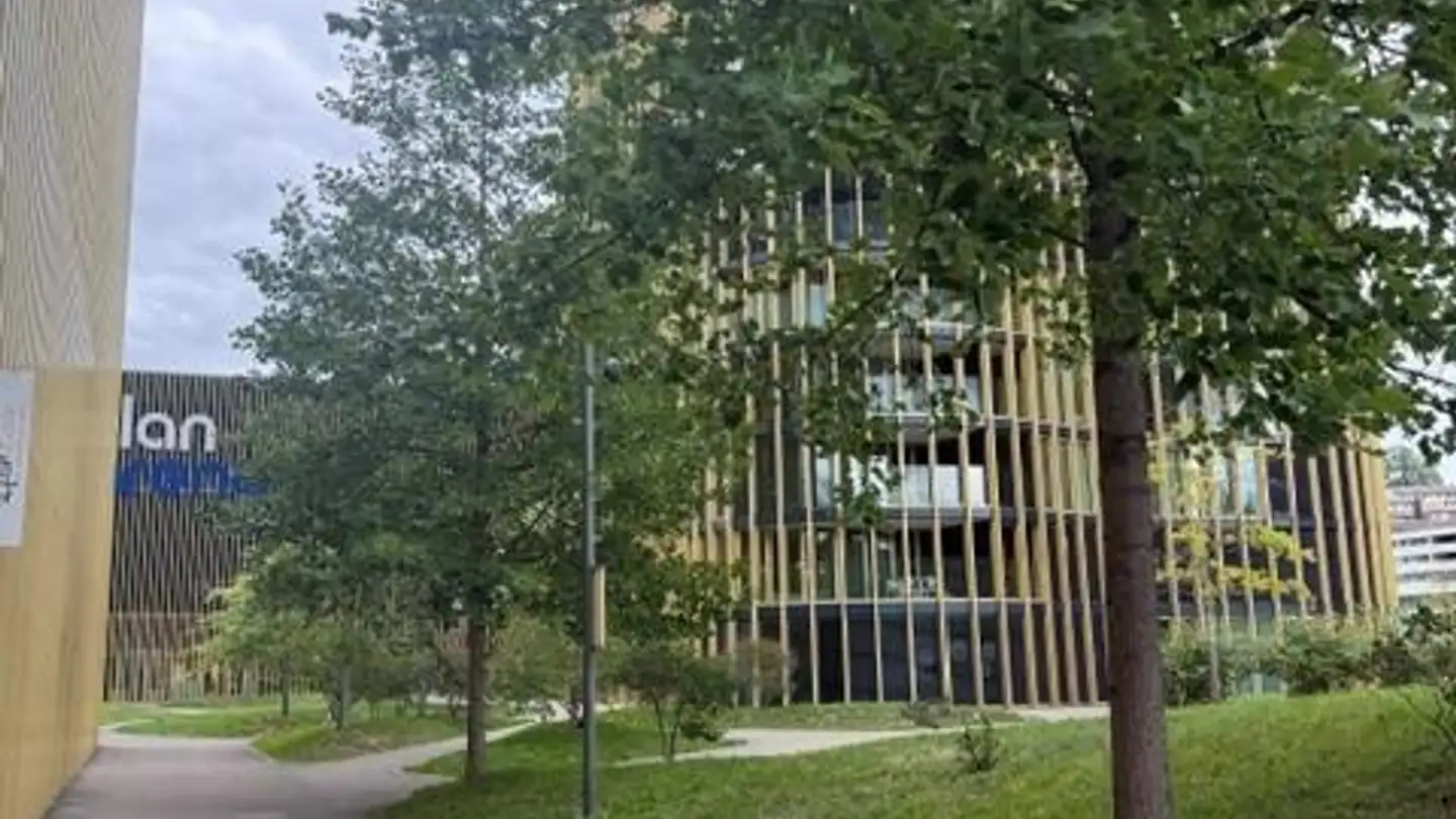 Commercial à louer - Zihlmattweg 46, 6005 Luzern - Photo 3