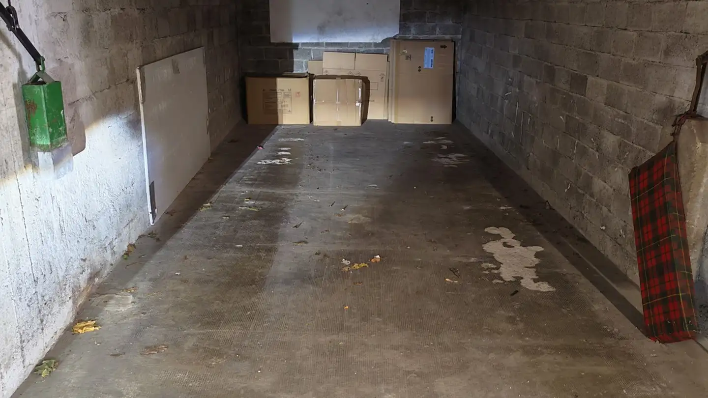 Garage singolo in affitto - 1217 Meyrin