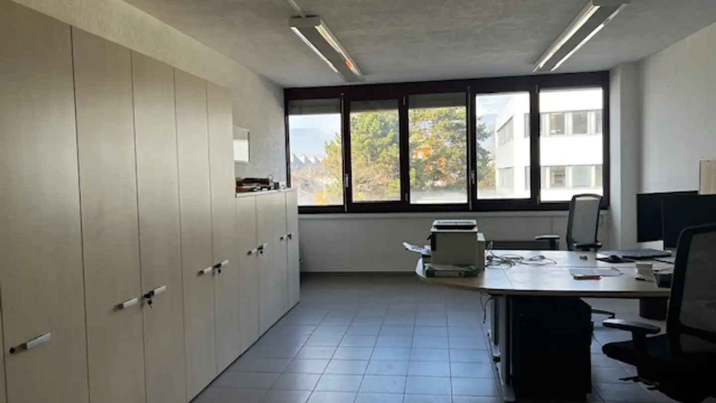 Gewerbe kaufen - Route De Divonne, 1260 Nyon - Foto 2