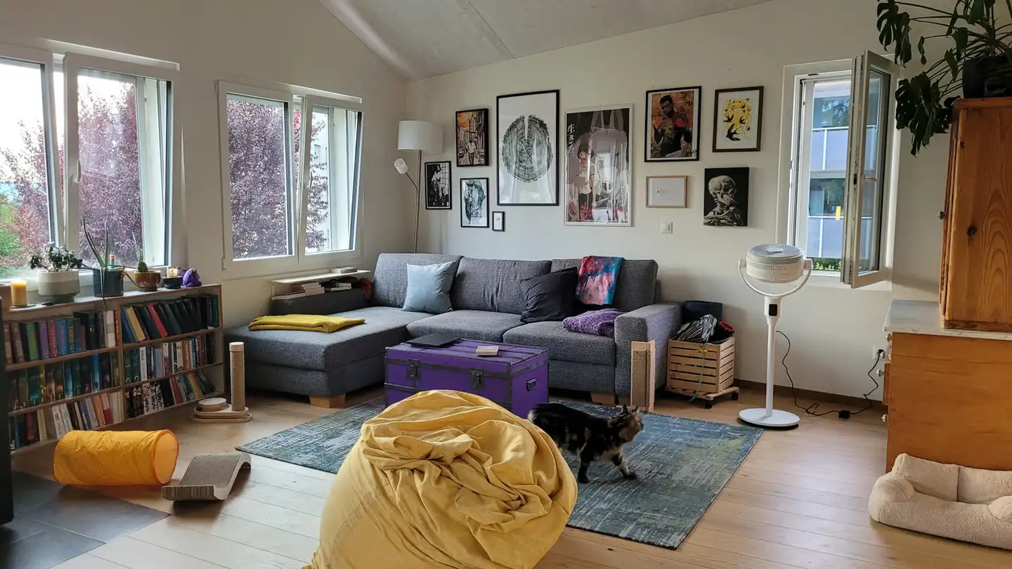 Appartamento in affitto - Burgstrasse 28, 4410 Liestal