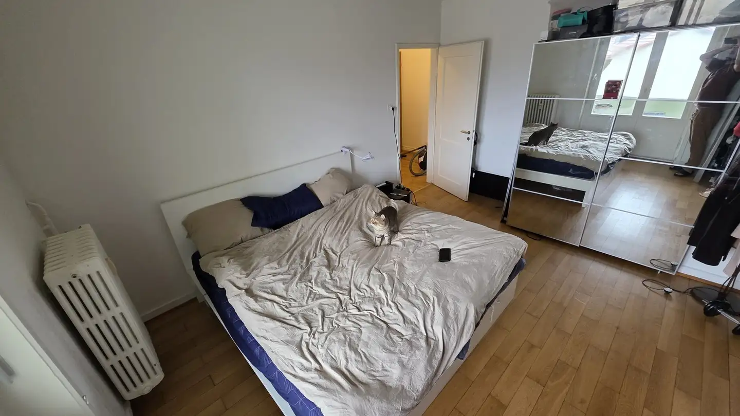 Wohnung mieten - Hegenheimerstrasse 240, 4055 Basel - Foto 3