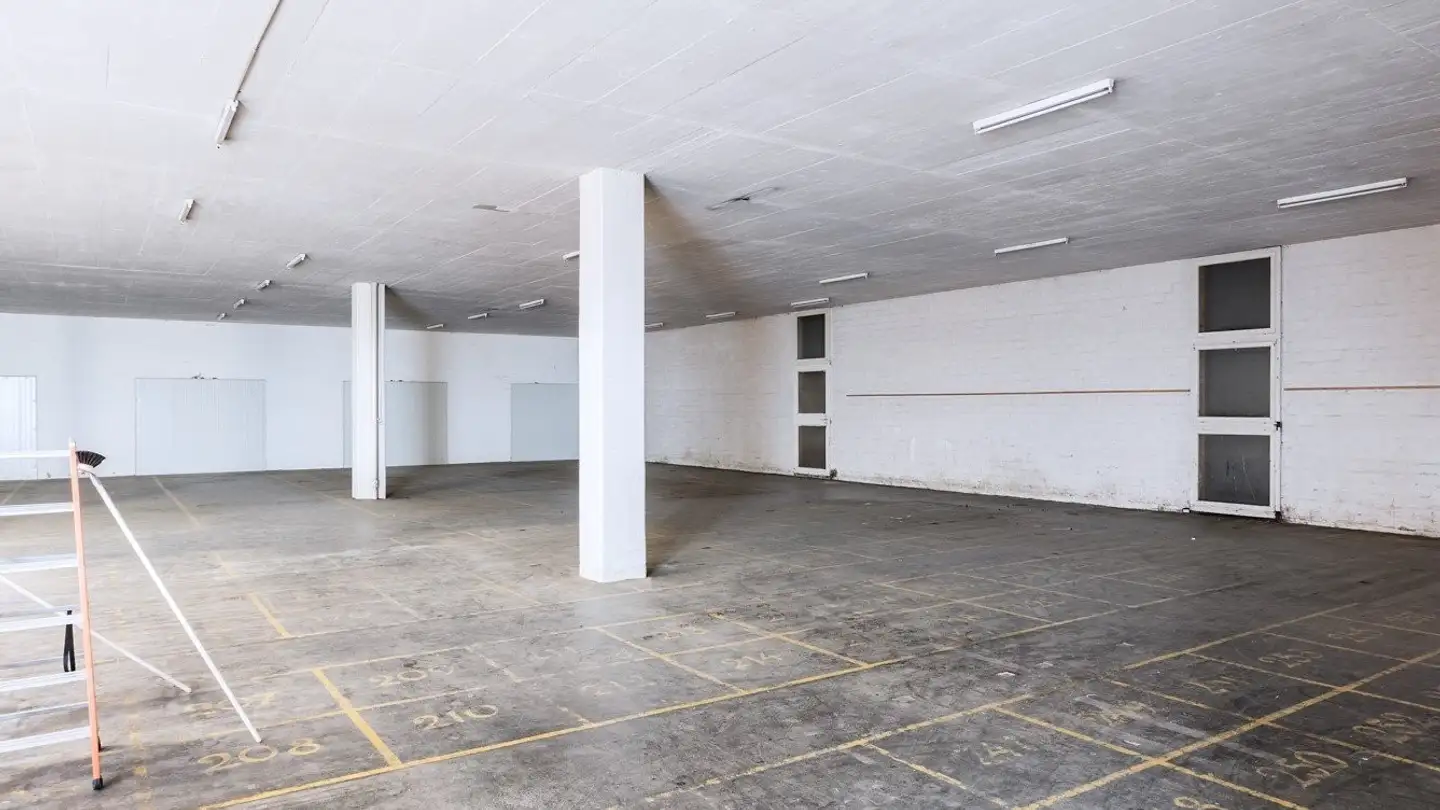 Commercial for rent - Moosstrasse 13, 9030 Abtwil SG