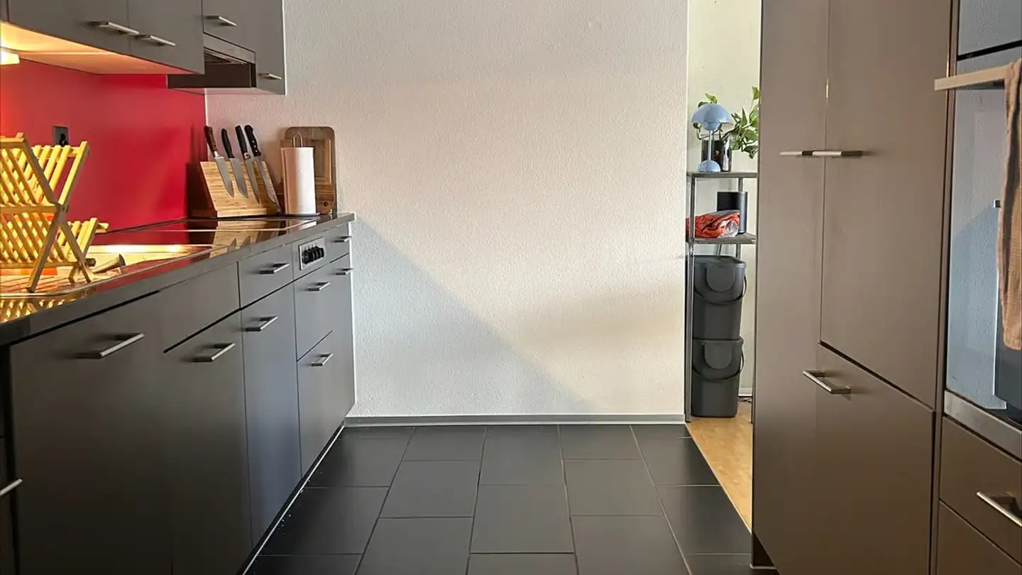 Appartement meublé à louer - Katharina-Sulzer-Platz 6, 8400 Winterthur - Photo 3