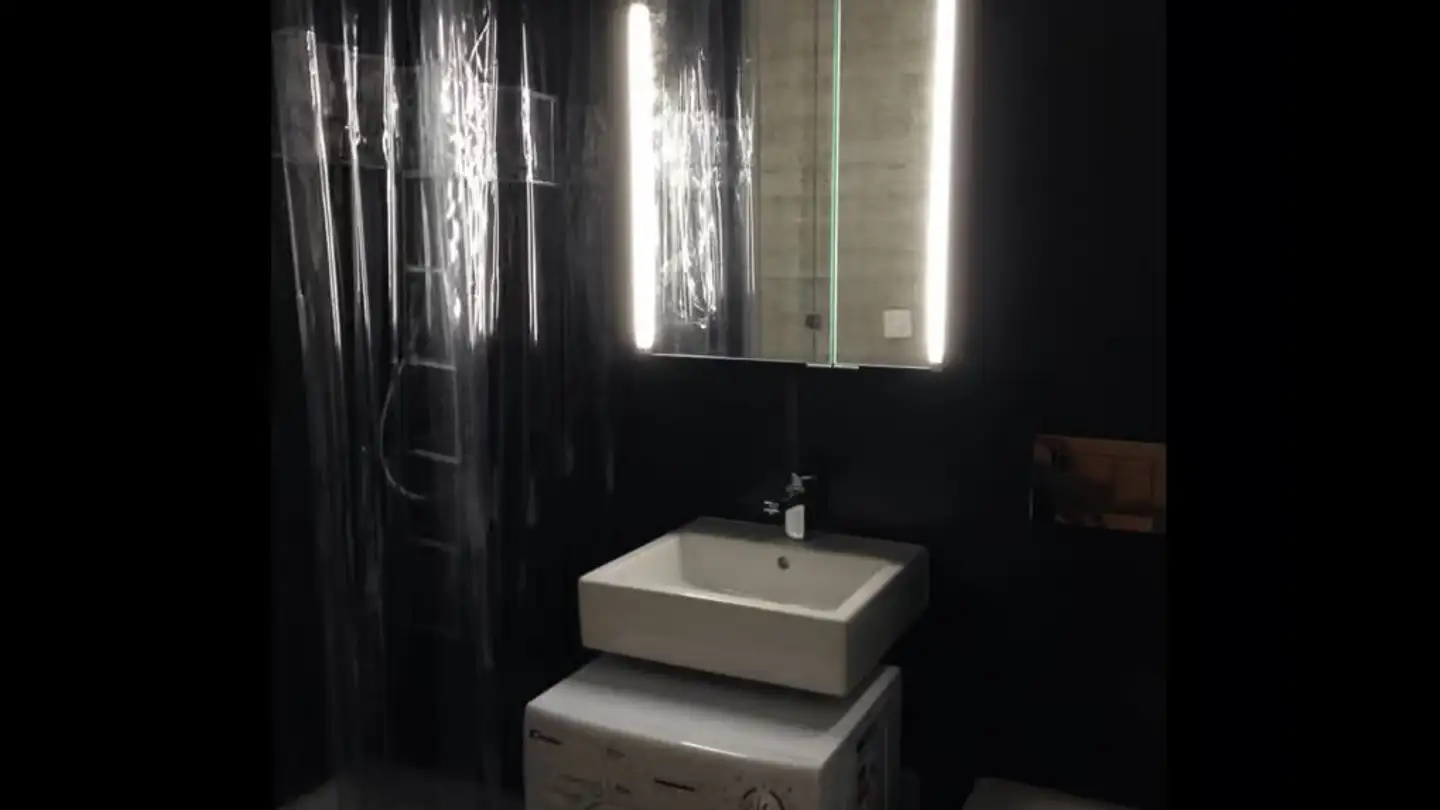 Möblierte Wohnung mieten - Chemin Du Petit-Bois 20, 1113 St-Saphorin-sur-Morges - Foto 3