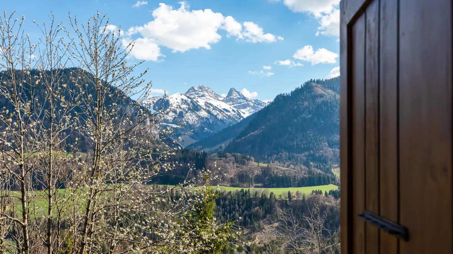 Chalet kaufen - Chemin Louis-Ruffieux 4, 1653 Crésuz - Foto 3