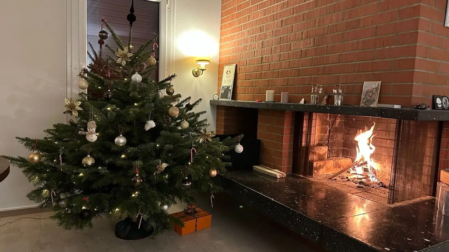 Casa singola in affitto - 8805 Richterswil - Foto 4