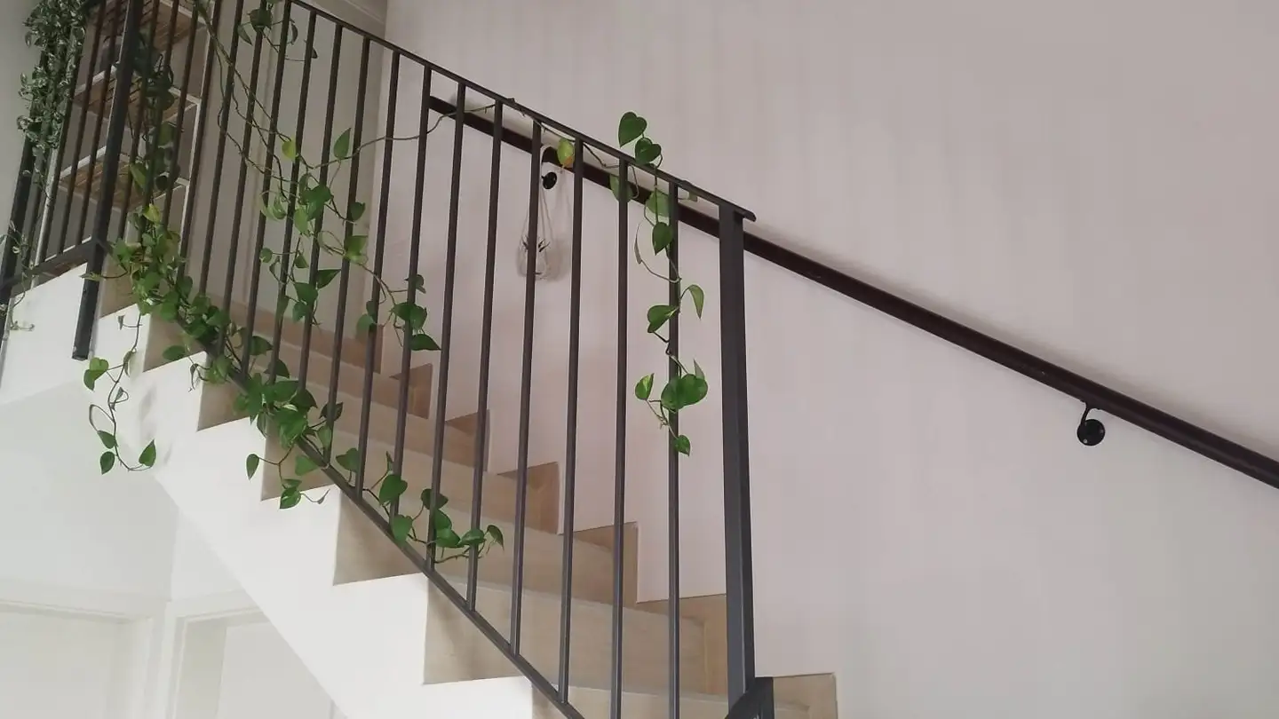 Casa singola in affitto - I Ronchítt 7a, 6703 Osogna - Photo 2