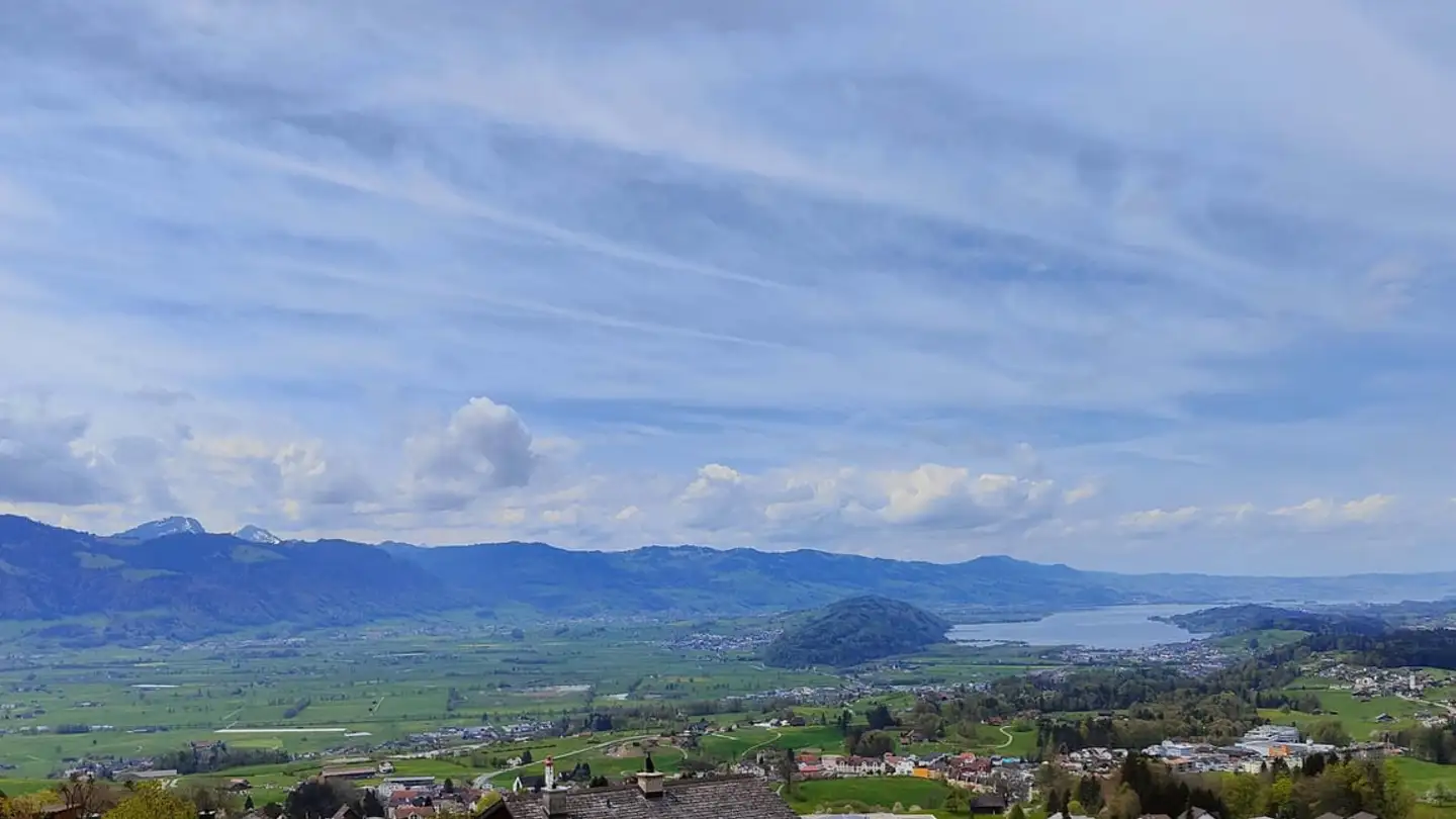 Wohnung kaufen - 8737 Gommiswald - Foto 4