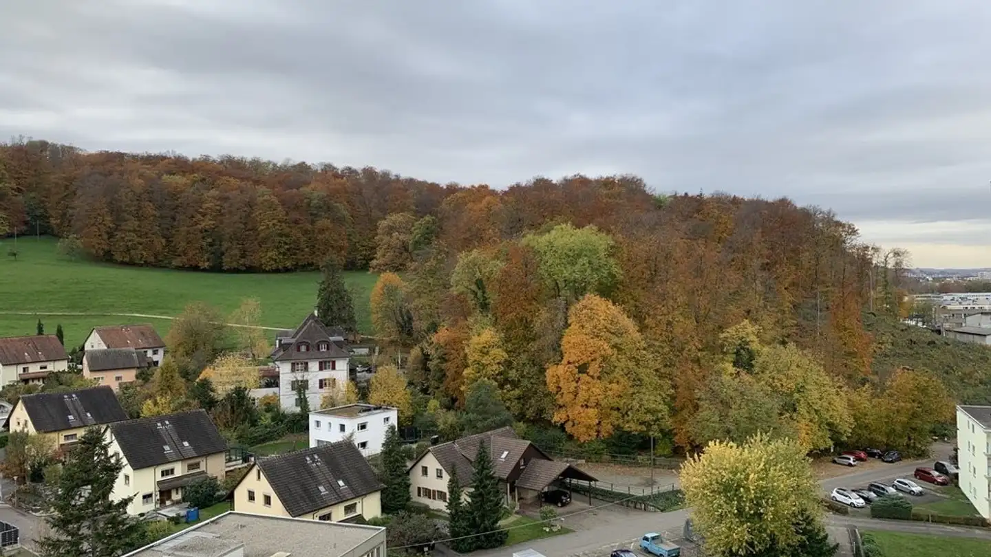 Wohnung mieten - Muttenzerstrasse 89, 4133 Pratteln - Foto 2