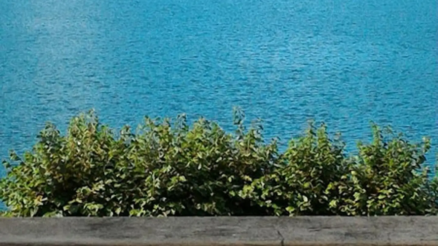 Apartment for sale - 6978 Gandria - Photo 2