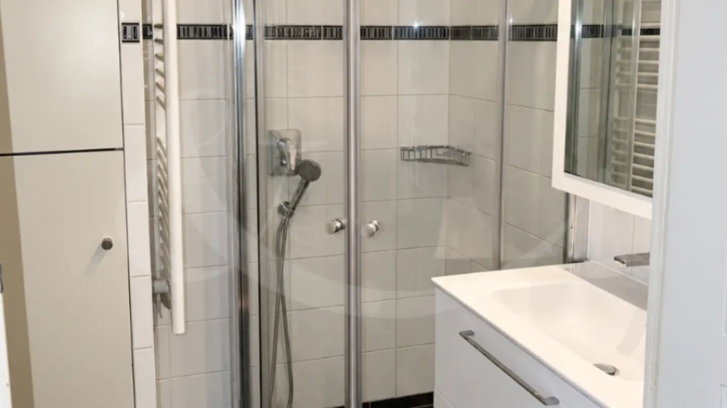 Apartment for rent - Rue Ancienne 27, 1227 Carouge GE - Photo 4