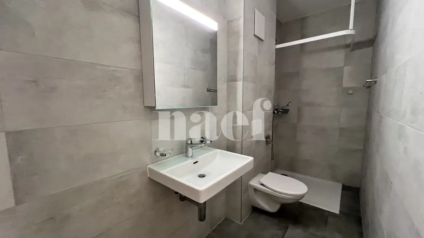 Appartement à louer - Rue De La Sionge 44, 1630 Bulle - Photo 4