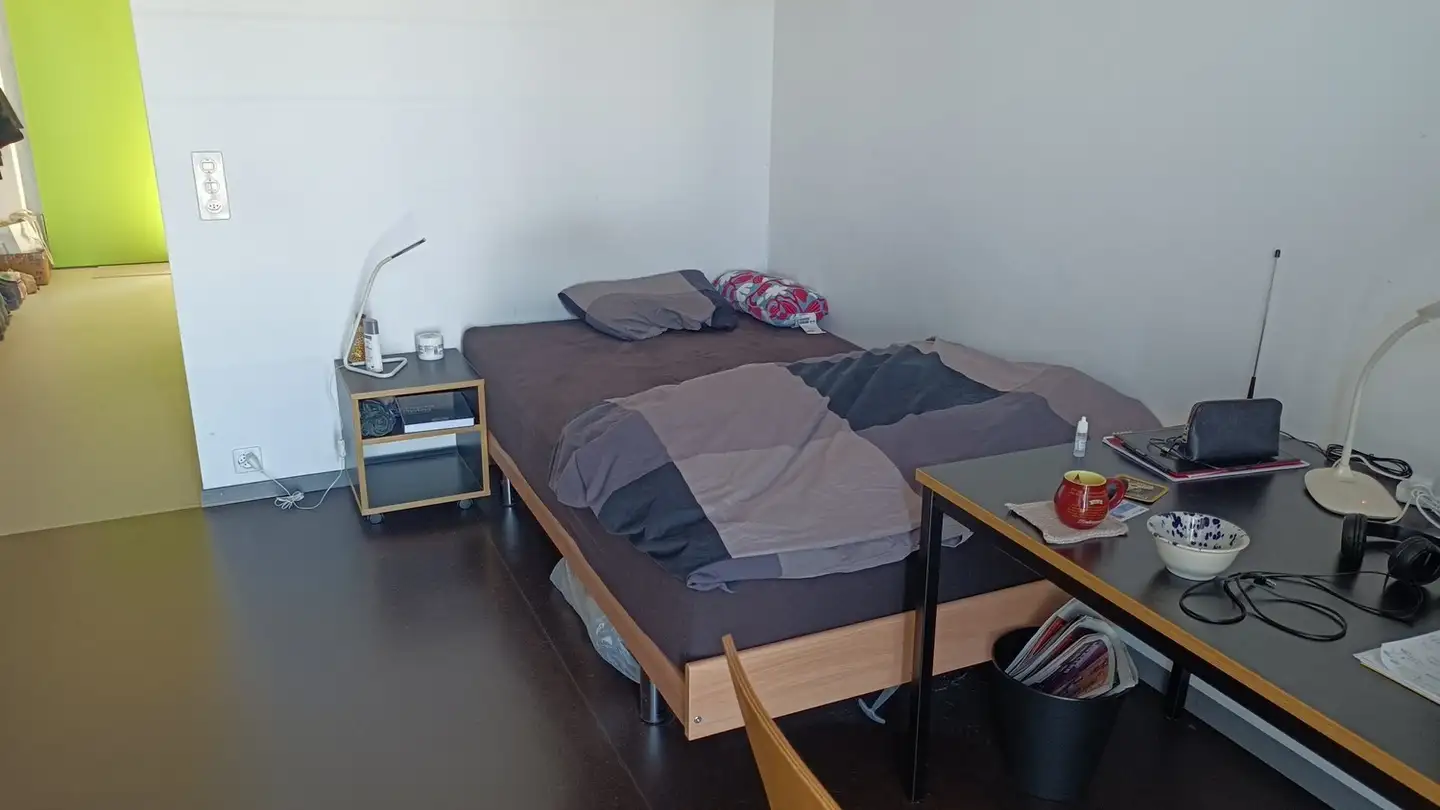 Apartment for rent - Uetlibergstrasse 111a, 8045 Zürich - Photo 3