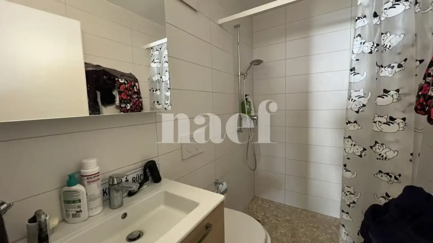 Appartamento in affitto - Route De Russy 14, 1563 Dompierre FR - Foto 4