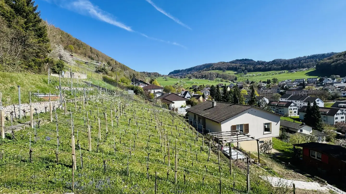 Einfamilienhaus kaufen - Dielenbergweg 16, 4436 Oberdorf BL - Foto 4
