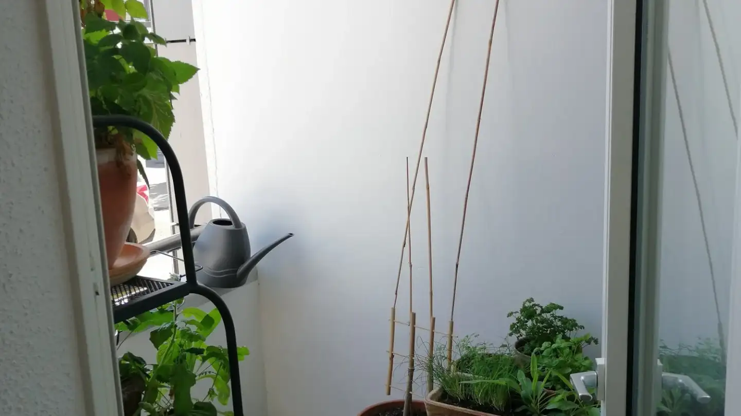 Appartement à louer - Obachstrasse 4, 4500 Solothurn - Photo 3