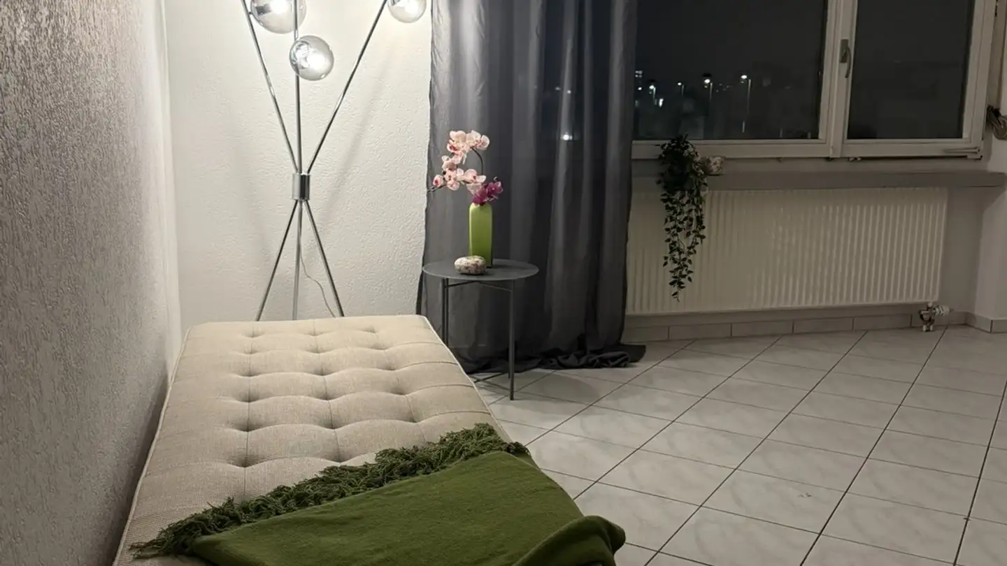 Appartement à louer - 8102 Oberengstringen