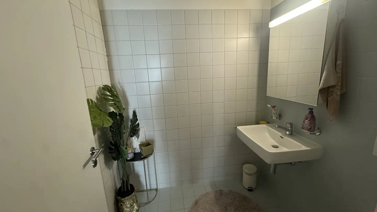 Möblierte Wohnung mieten - 8952 Schlieren - Foto 2