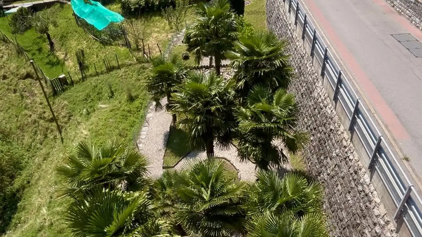 Appartamento in vendita - Stráda Növa 64, 6822 Arogno - Photo 4