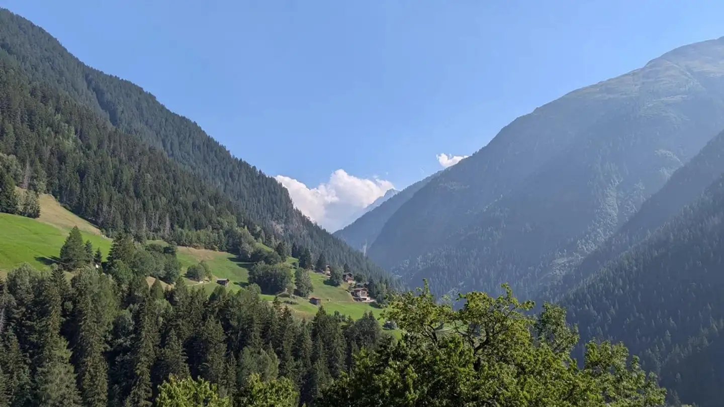 Chalet kaufen - Binntalstrasse 125, 3995 Ausserbinn - Foto 4