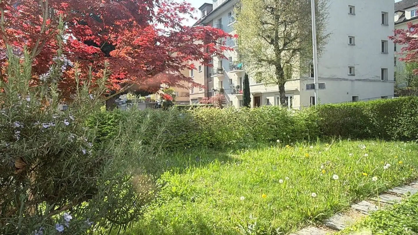 Appartamento in affitto - 6004 Luzern - Foto 2