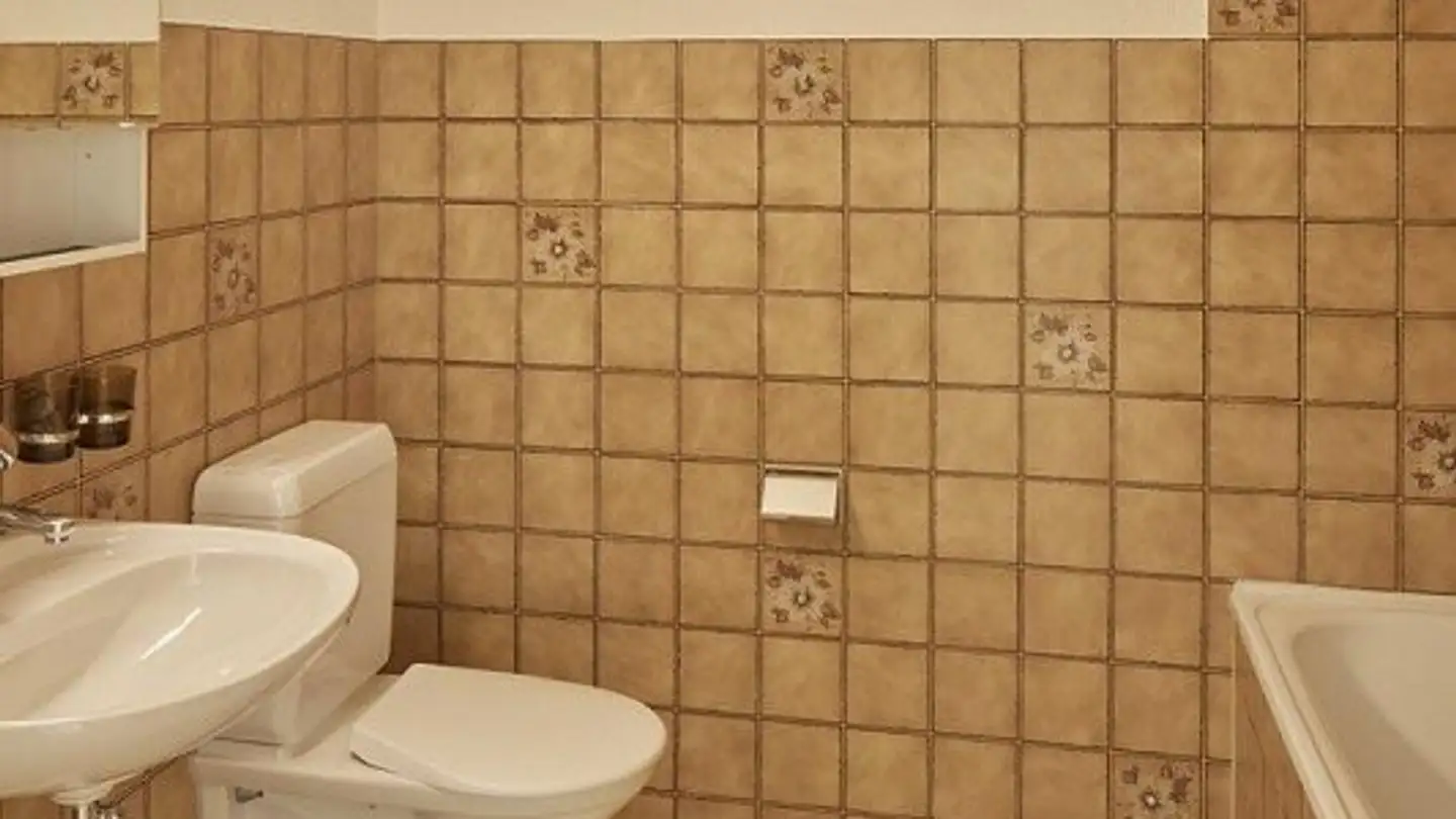 Apartment for rent - Im Kupferschmied 4, 4663 Aarburg - Photo 4