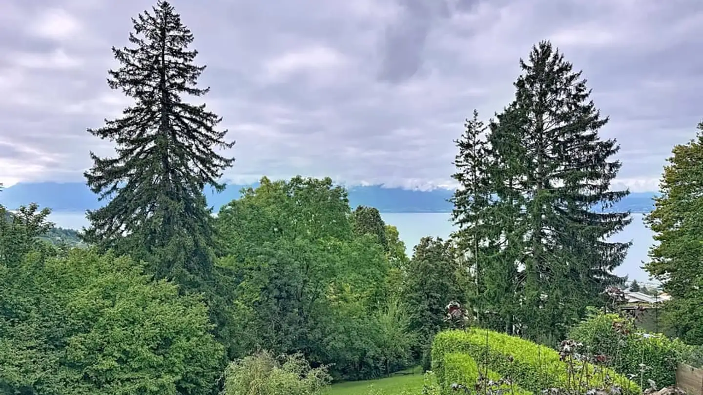 Wohnung kaufen - 1090 La Croix (Lutry)