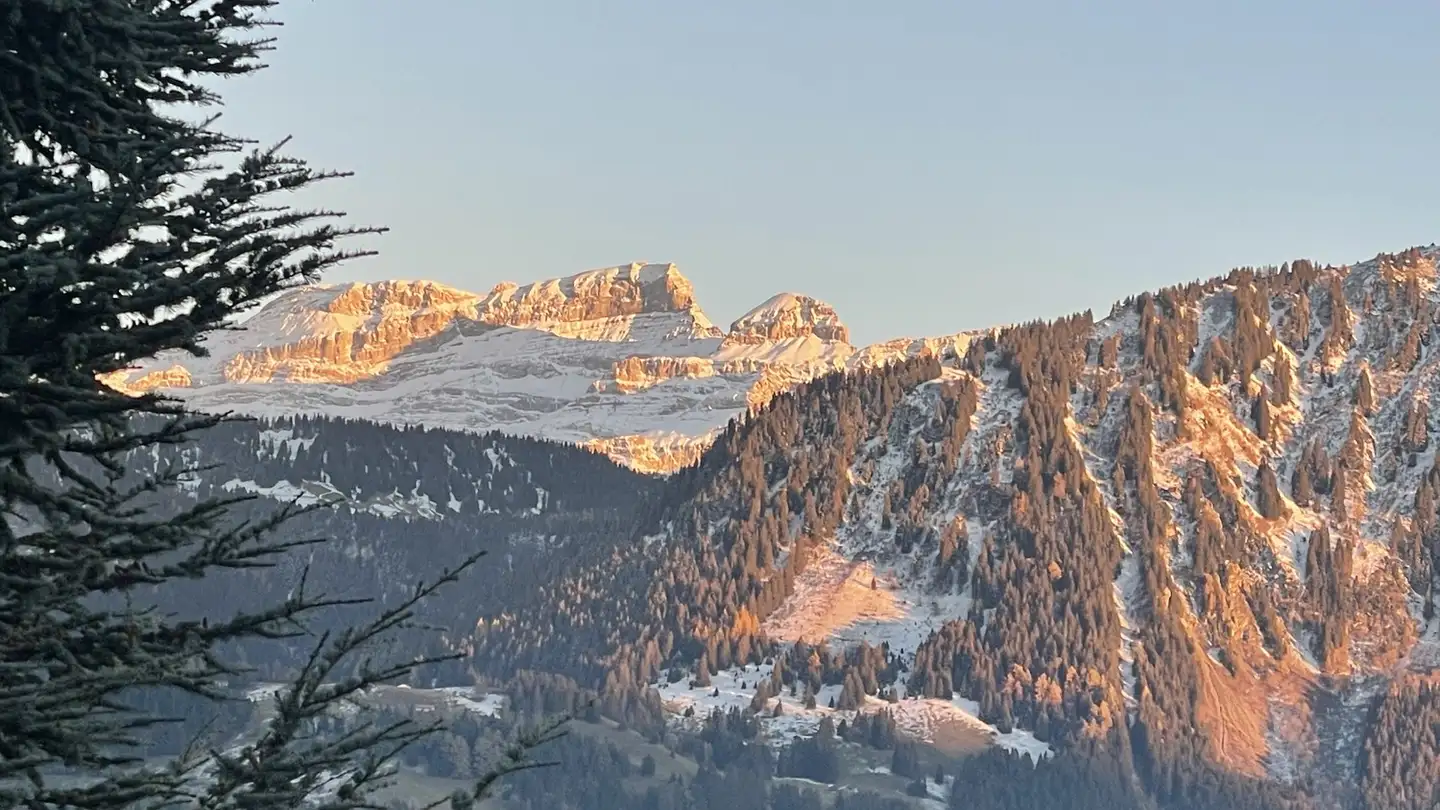 Wohnung mieten - Avenue Reine Fabiola 30, 1854 Leysin - Foto 4