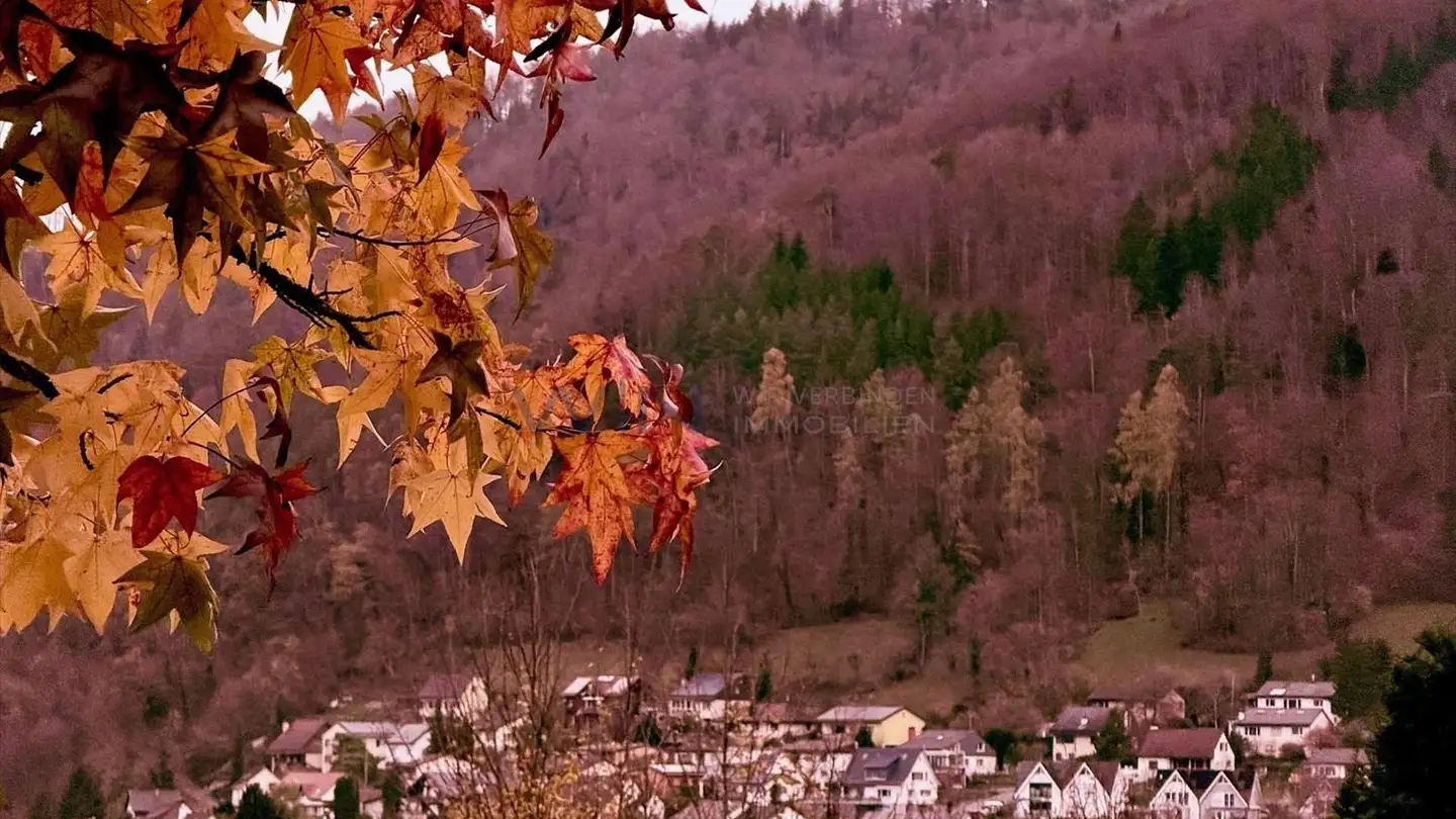 Appartamento in vendita - 4436 Oberdorf BL - Photo 4