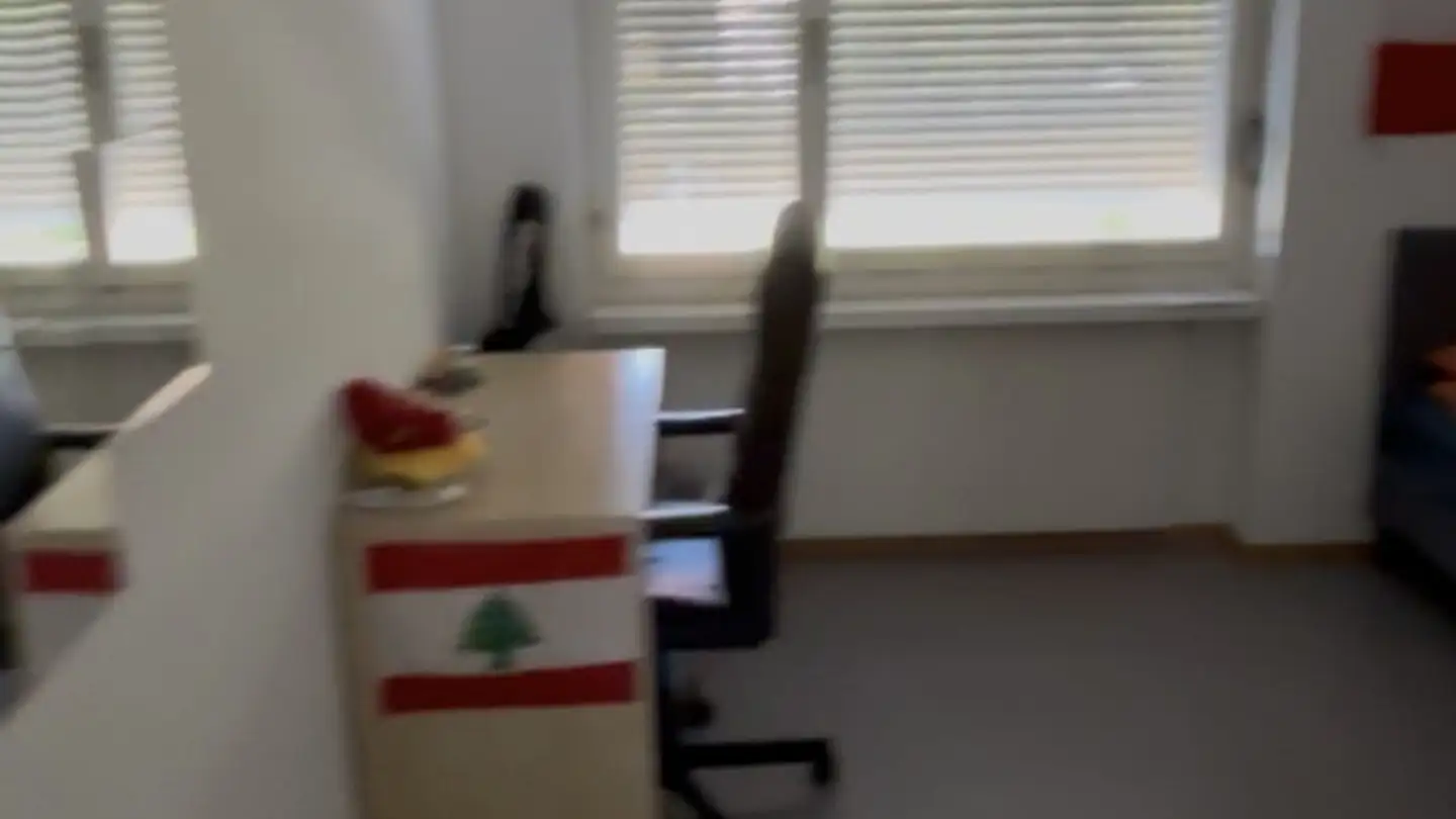 Chambre à louer - Alte Winterthurerstrasse 96, 8304 Wallisellen