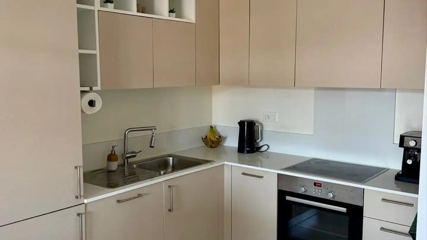 Appartamento in affitto - Via Carzo, 6900 Paradiso - Photo 4