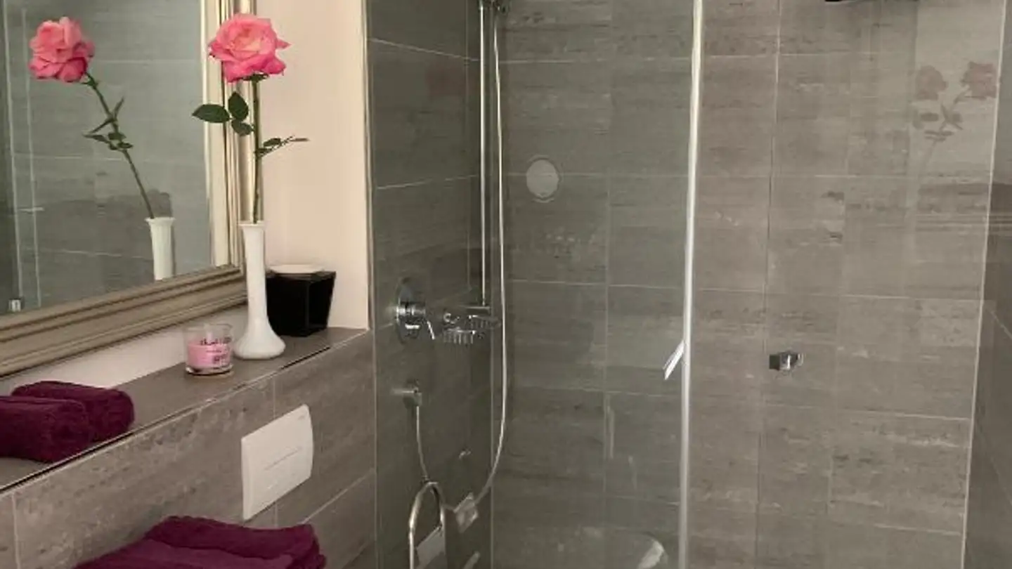 Appartement meublé à louer - Goldiwilstrasse, 3600 Thun - Photo 3