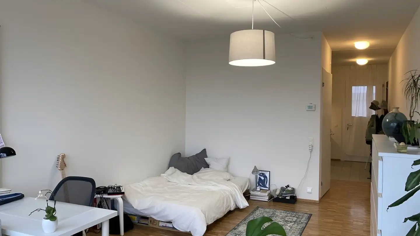 Appartamento in affitto - Hallwilstrasse 21, 5600 Lenzburg - Foto 2