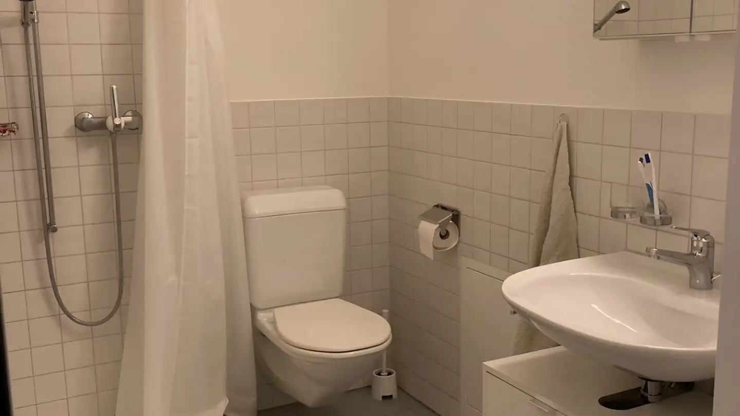 Appartamento in affitto - Hallwilstrasse 21, 5600 Lenzburg - Foto 3