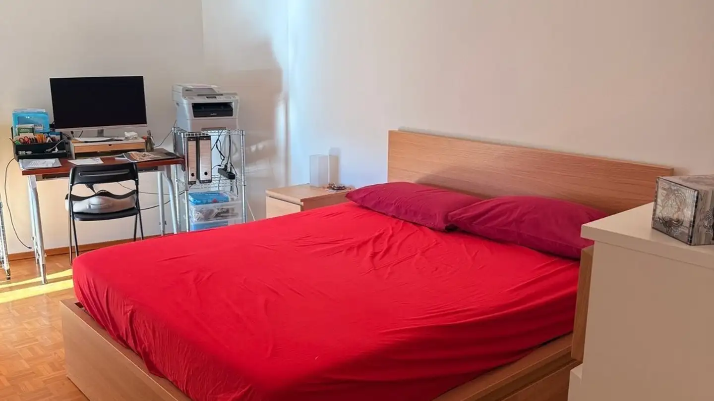 Appartamento in affitto - Via Domenico Galli 56, 6600 Solduno - Photo 3