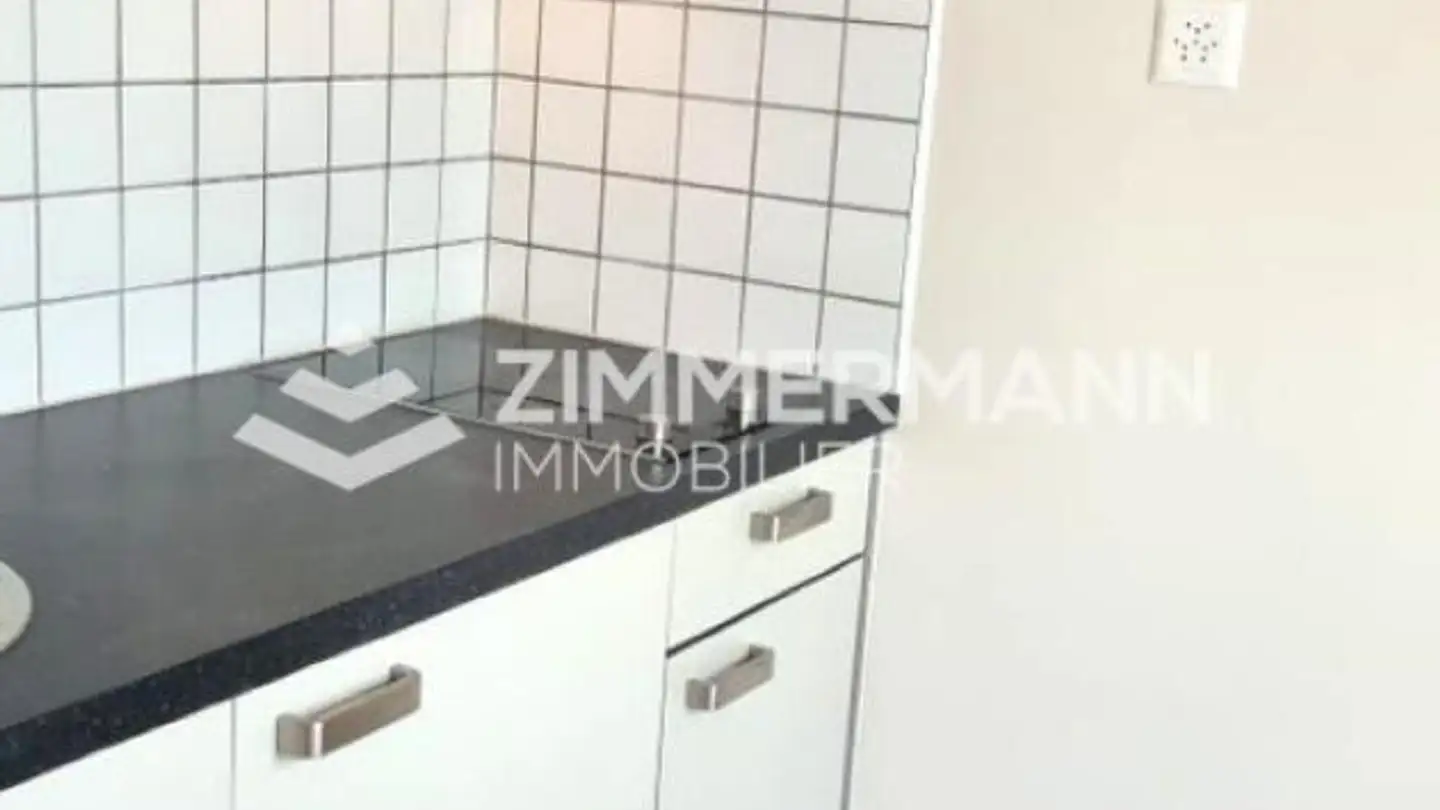 Studio for rent - Avenue Wendt, 1203 Genève - Photo 3