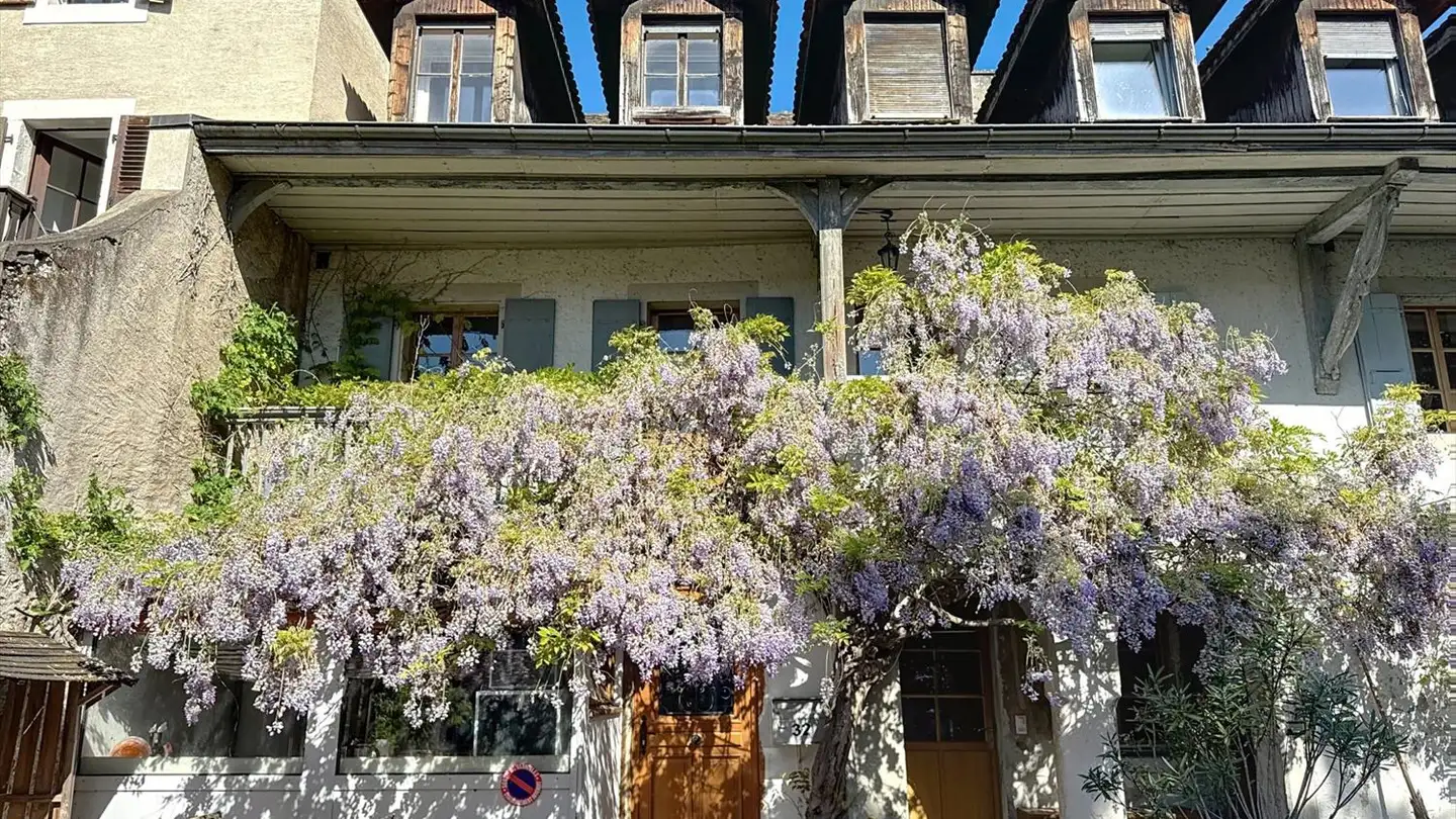 Single house for sale - 1236 Cartigny