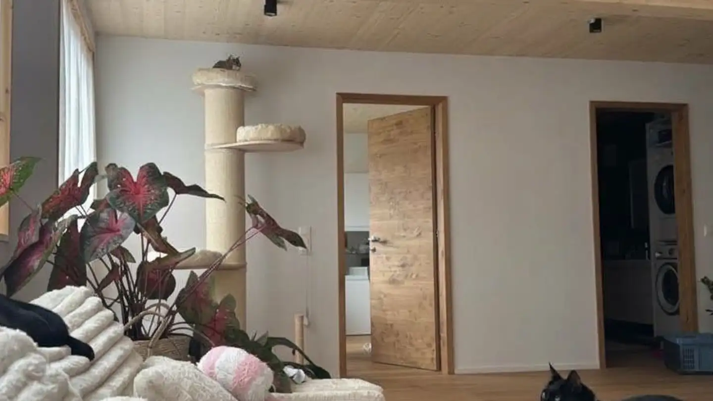 Appartement à louer - Ziefnerstrasse, 4424 Arboldswil