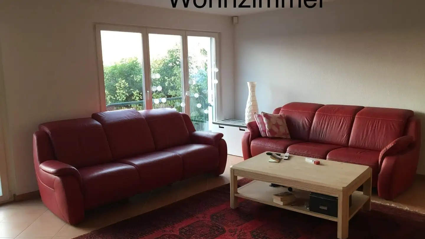 Casa singola in affitto - Elblingstrasse 6, 4142 Münchenstein - Foto 3