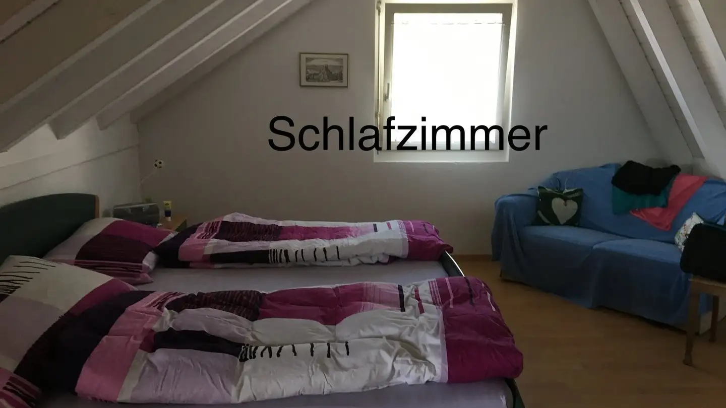 Single house for rent - Elblingstrasse 6, 4142 Münchenstein - Photo 4