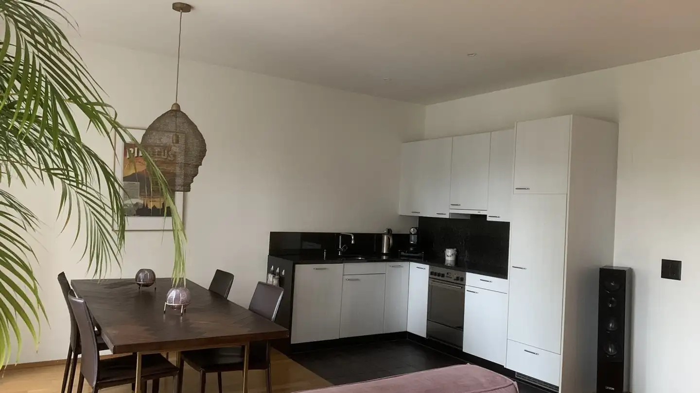 Appartement meublé à louer - Haldenstrasse 9, 6006 Luzern - Photo 4