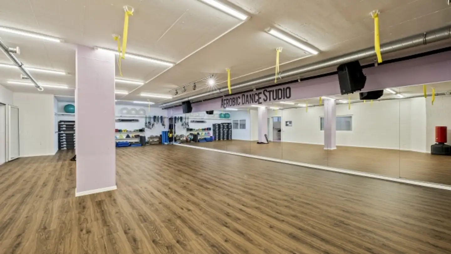 Commercial for sale - 5243 Mülligen