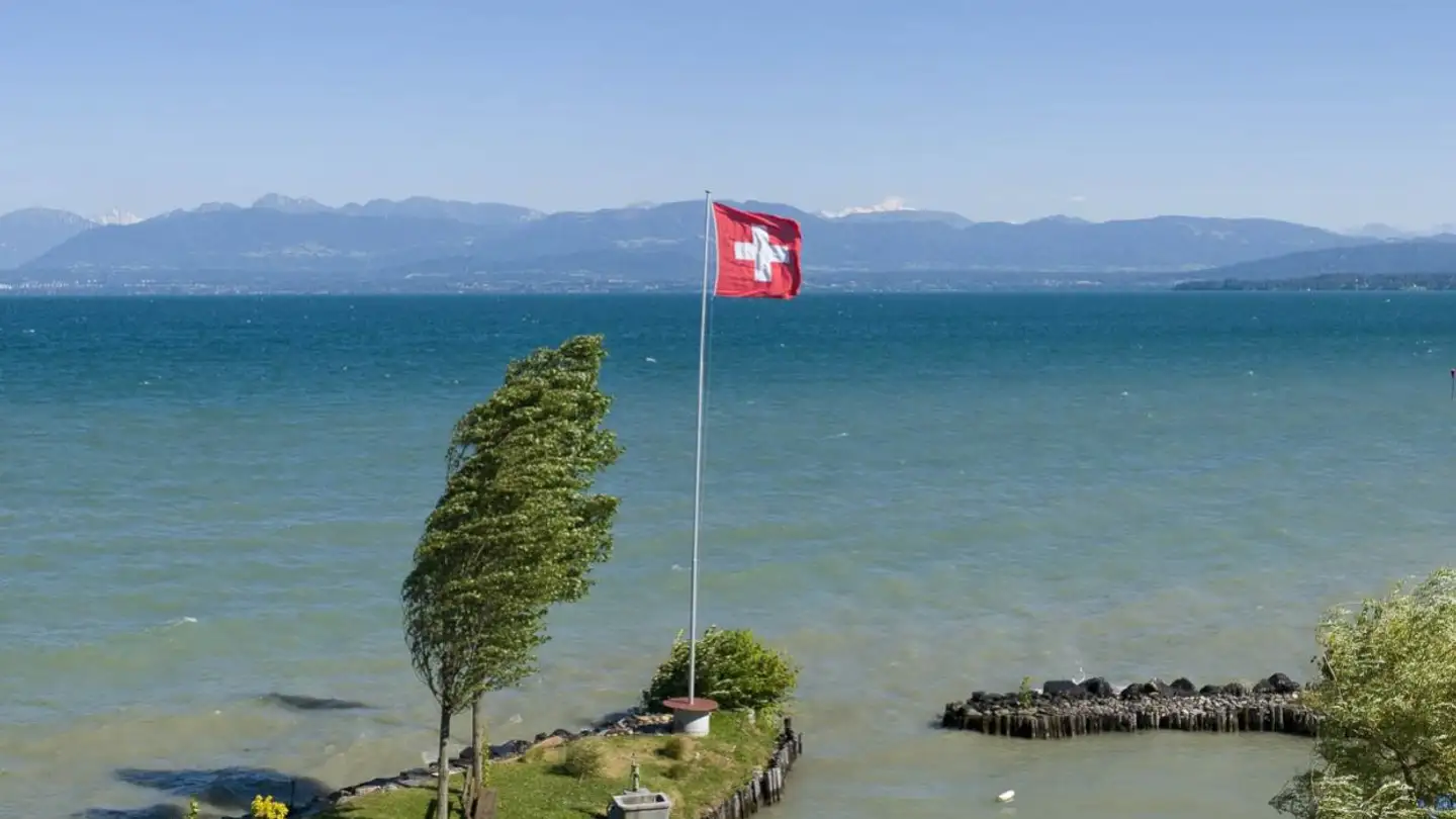 Apartment for rent - 1195 Dully